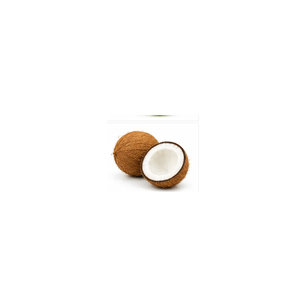 Coconut wholesale product available at Centric The Market
