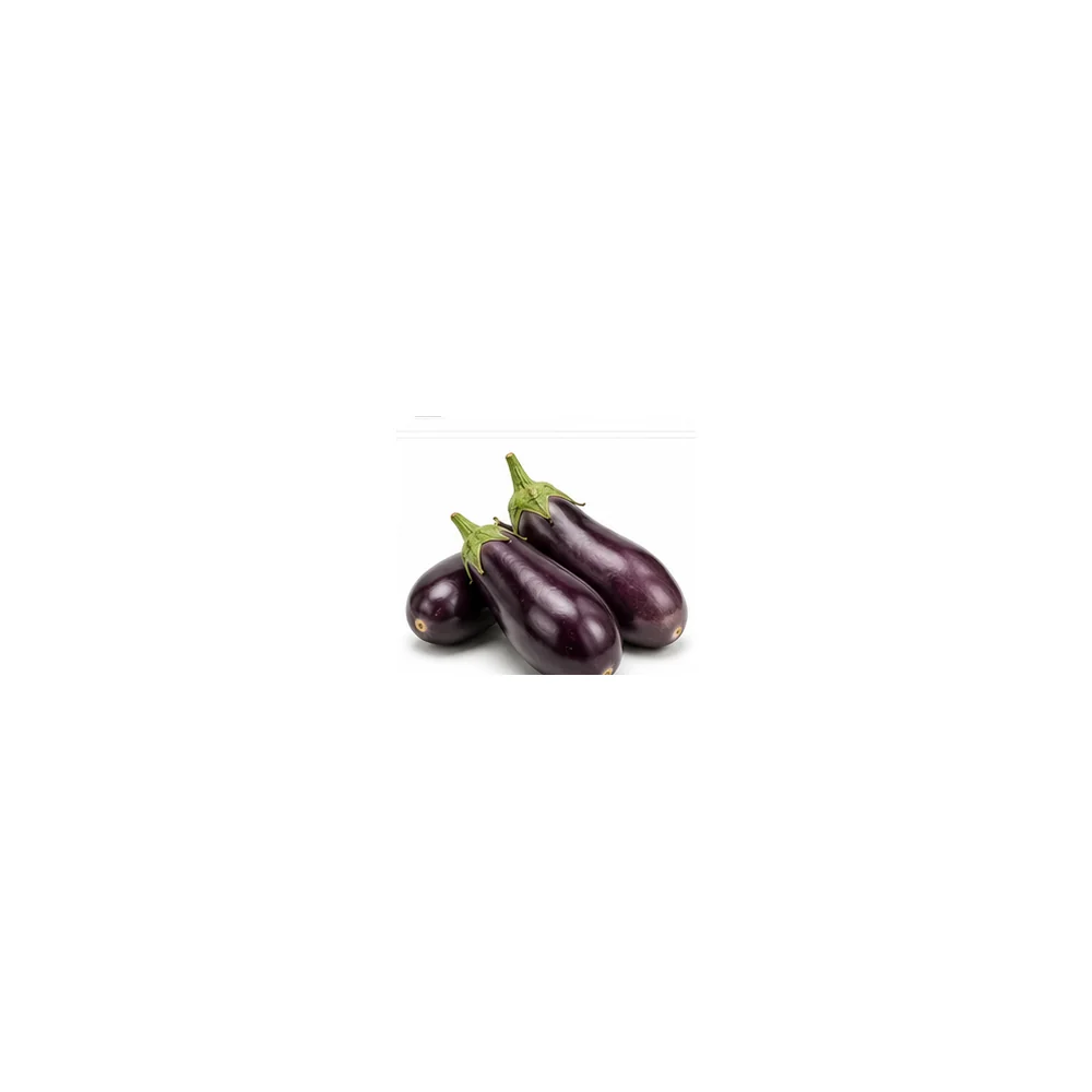 Brinjal wholesale product available at Centric The Market