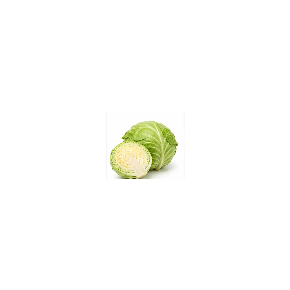Cabbage wholesale product available at Centric The Market