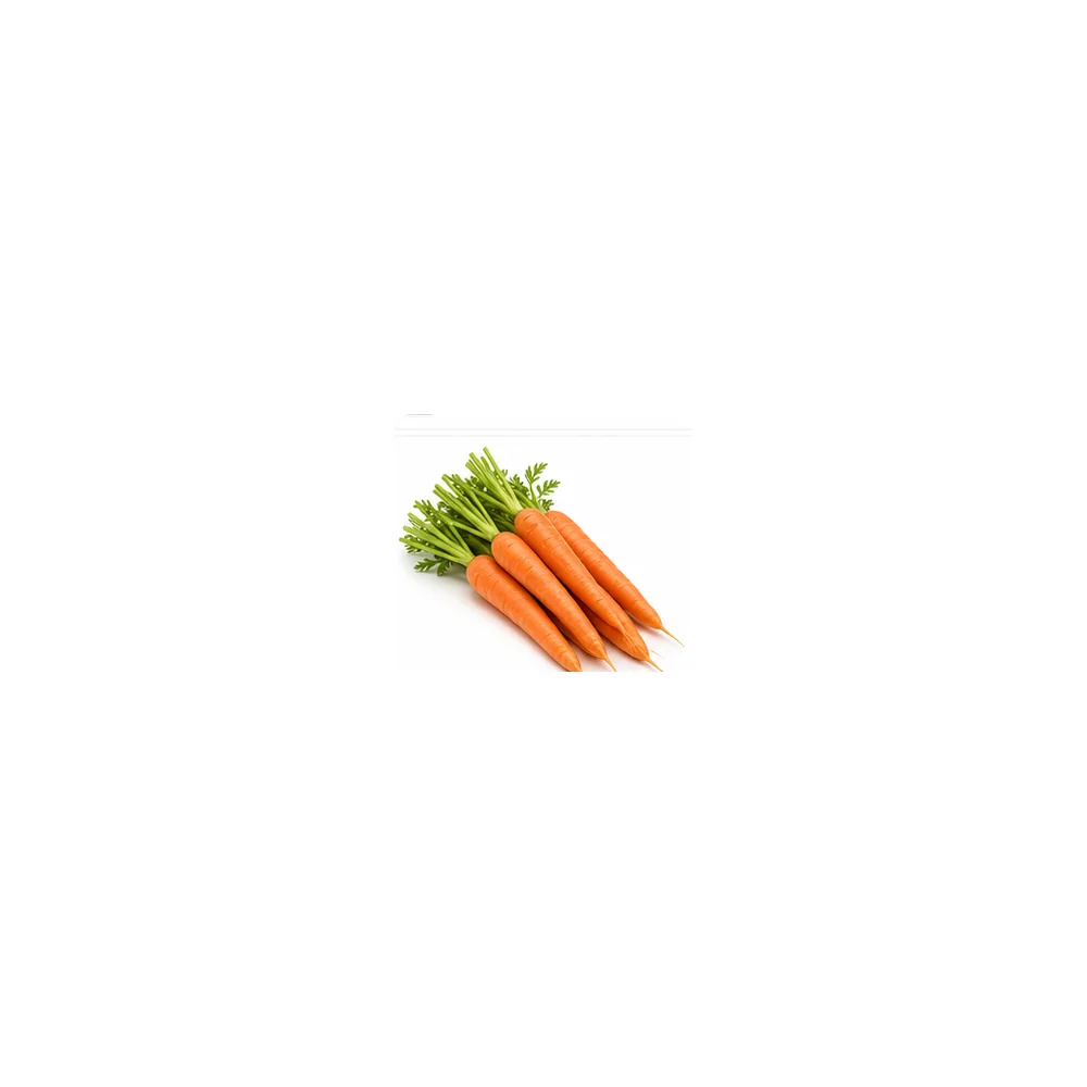 Carrots wholesale product available at Centric The Market