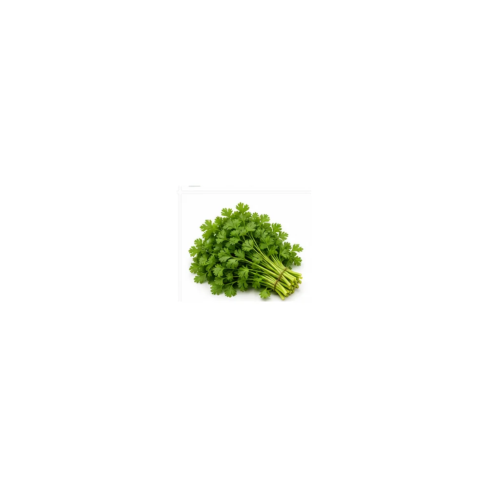Coriander wholesale product available at Centric The Market