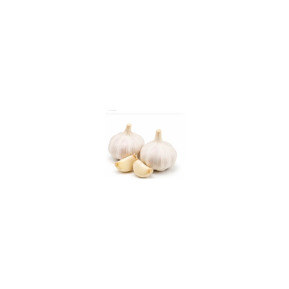 Garlic wholesale product available at Centric The Market