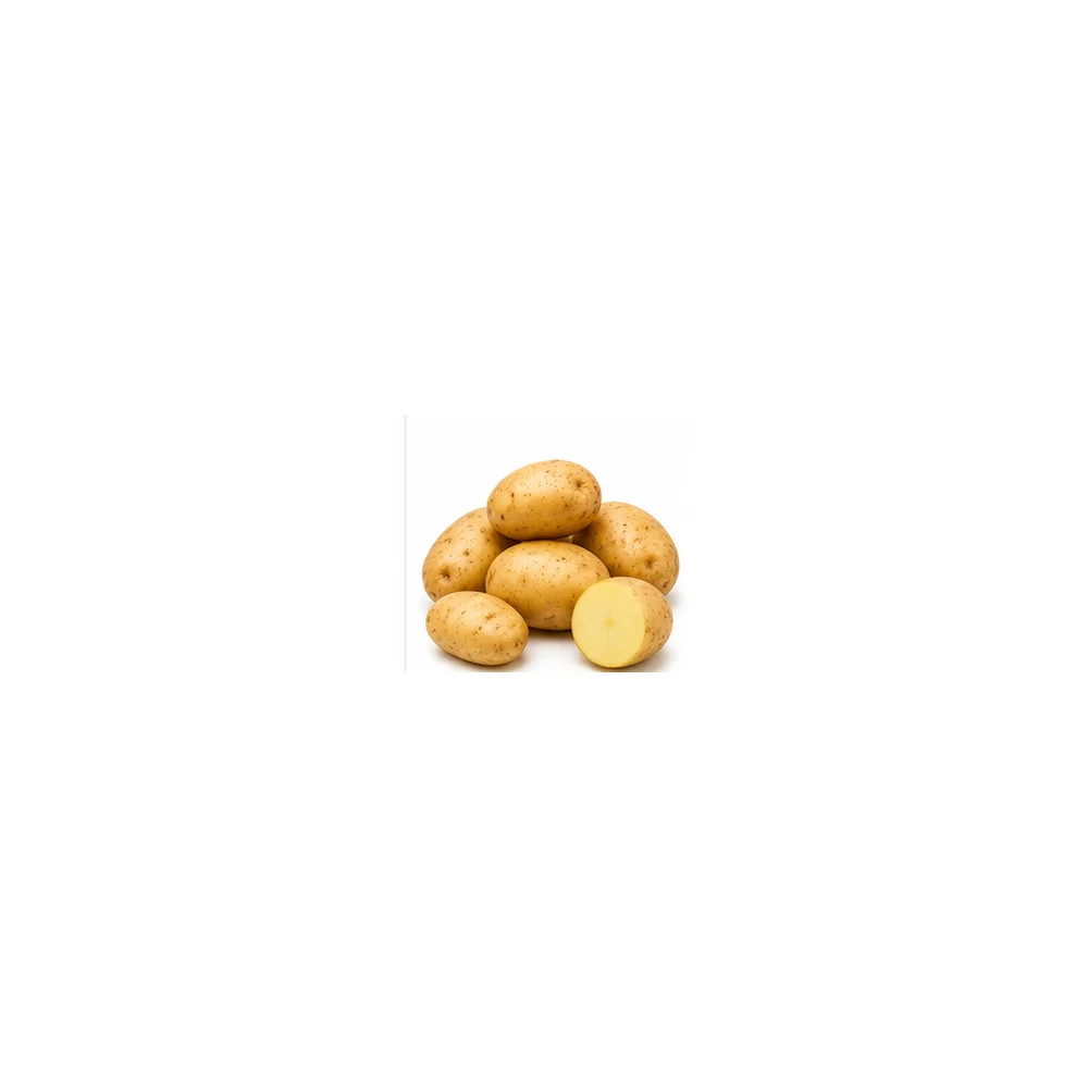 Potatoes wholesale product available at Centric The Market