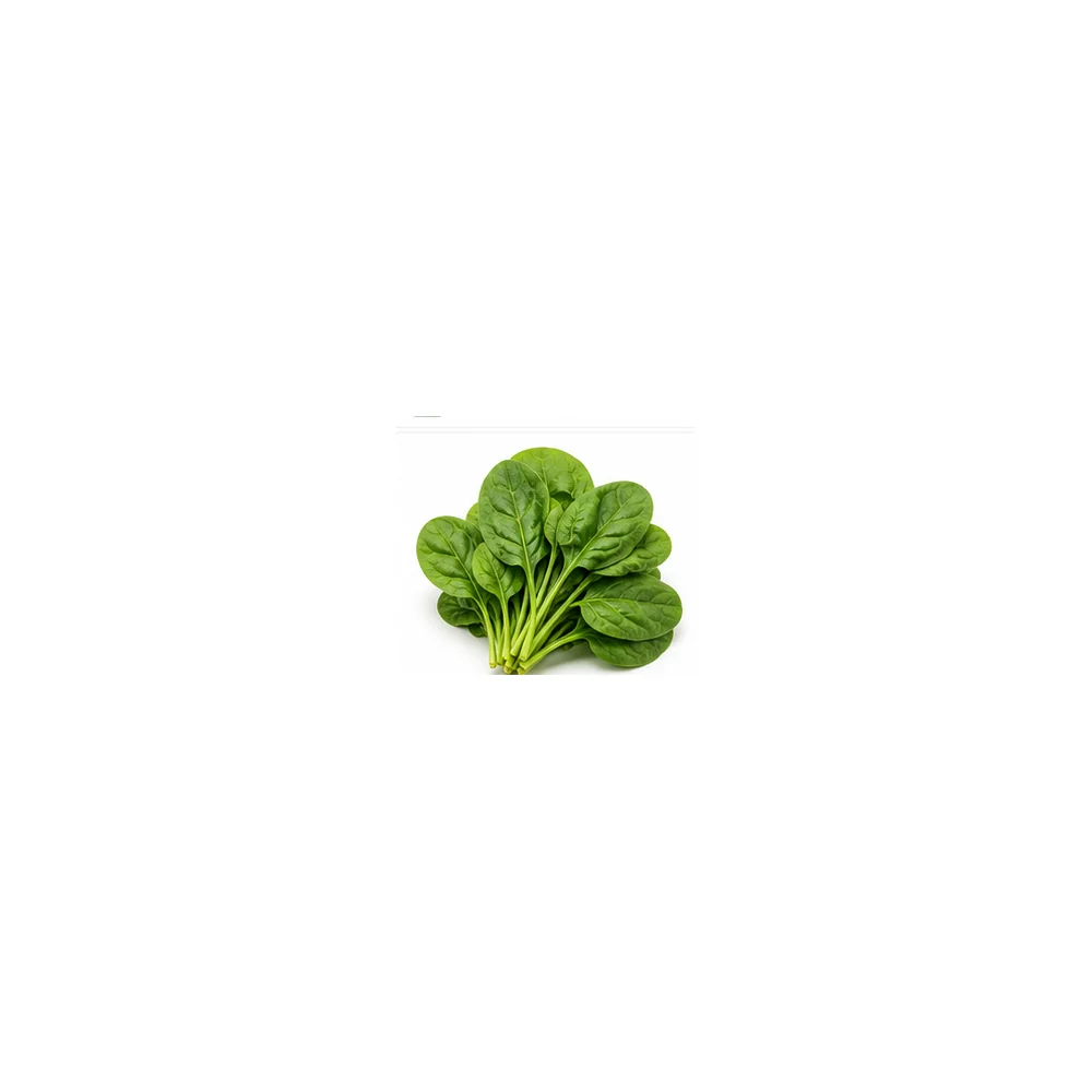 Spinach wholesale product available at Centric The Market